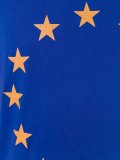 Page Europa Union T恤