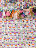 embroidery shorts 