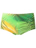 swim trunks