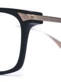 'Vega' frames
