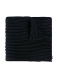 logo embroidered scarf