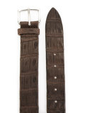 crocodile-effect belt