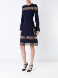 sheer lace panel flared dress