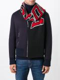 varsity logo scarf