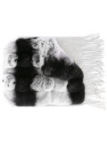 variated rabbit fur scarf