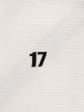 '17'领带
