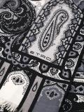 paisley print scarf