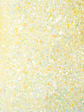 sequinned tank