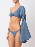loong sleeve bikini set