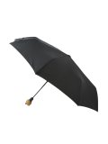 泰迪熊印花雨伞