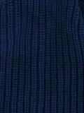 two-tone fur pom pom beanie