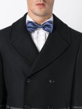 'Shiny Satin'领结