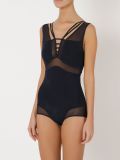 sheer panels body