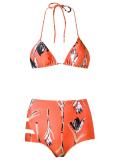 printed triangle bikini set