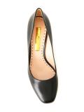 Bertha pumps