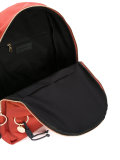 Sunset scene backpack