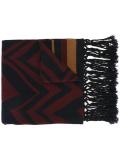fringed striped scarf