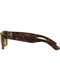 'New Wayfarer' sunglasses