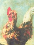'Horatio Cockerel'T恤