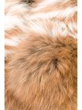 fur collar