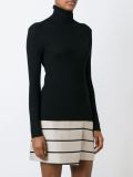 turtle neck sweater