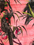 macaw print scarf