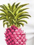 pineapple print shorts