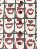 'Les Fous de la Photographie'西式马甲