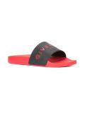 logo print slides