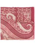 paisley print scarf
