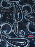 paisley print tie