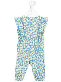 Aurelia romper