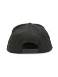 swallow embroidered cap