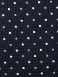 polka dot tie 