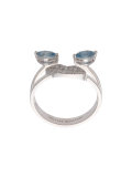 Ana ring 