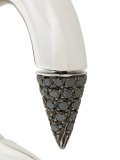 Spike hoop