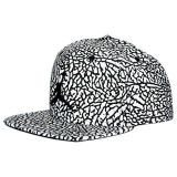 Jordan Reflective Elephant Print Snapback Hat