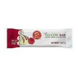 D's Naturals™ The No Cow Bar - Raspberry Truffle