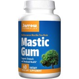 Jarrow Formulas® Mastic Gum
