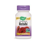 Nature's Way® Reishi