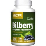 Jarrow Formulas® Bilberry + Grapeskin Polyphenols