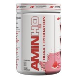 Advanced Nutrition Systems™ AMINH2O - Watermelon