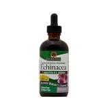 Nature's Answer® Echinaccea