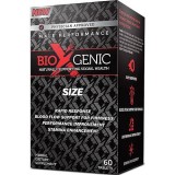 BioXgenic Size