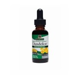 Nature's Answer® Dandelion Root 2,000 mg