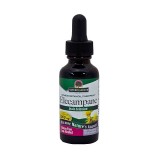 Nature's Answer® Elecampane