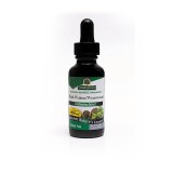 Nature's Answer® Black Walnut & Wormwood