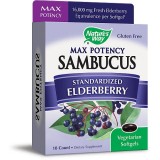 Nature's Way® Sambucus Max Potency  - Standardized Elderberry Syrup