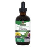 Nature's Answer® Echinacea & Goldenseal