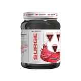 Advanced Nutrition Systems™ Surge 2.0